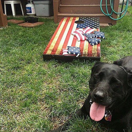 Outdoor Sports Store «Victory Tailgate», reviews and photos, 2437 E Landstreet Rd, Orlando, FL 32824, USA