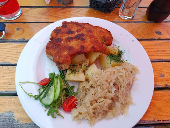 Zajazd "Pasja" - Hotel