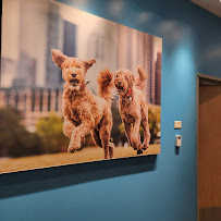 Vetco Total Care Animal Hospital - Photo 9 - Car repair in Escondido, CA, Escondido