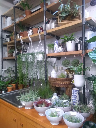 Florist «Englewood Florist, Inc.», reviews and photos, 47 E Palisade Ave, Englewood, NJ 07631, USA