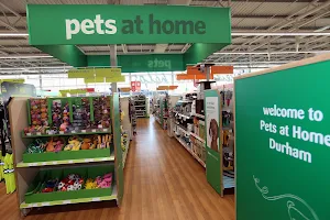 Pets at Home Durham Dragonville image