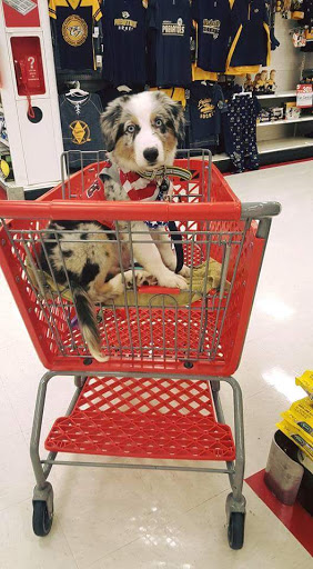 Department Store «Target», reviews and photos, 1004 Andrews Run, Hendersonville, TN 37075, USA