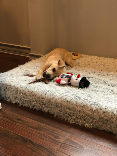 Insurance Agency «Beau Sharpe - State Farm Insurance Agent», reviews and photos