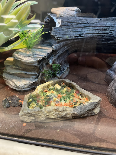 Pet Supply Store «PetSmart», reviews and photos, 12375 SW Walker Rd, Beaverton, OR 97005, USA