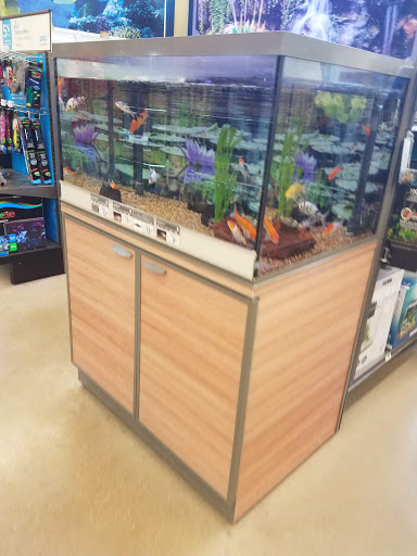 Pet Supply Store «Petco Animal Supplies», reviews and photos, 2241 Porter Creek Dr, Fort Worth, TX 76177, USA