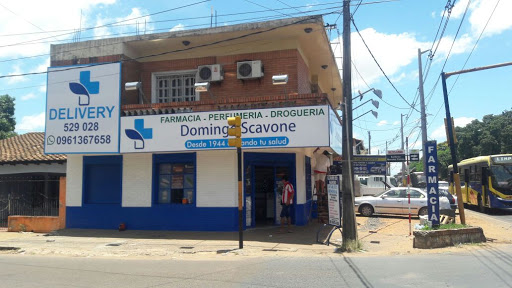 Farmacia Domingo Scavone
