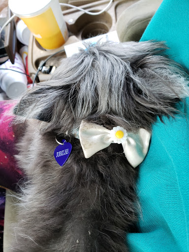 Pet Supply Store «Petco Animal Supplies», reviews and photos, 3115 Iowa St, Lawrence, KS 66046, USA