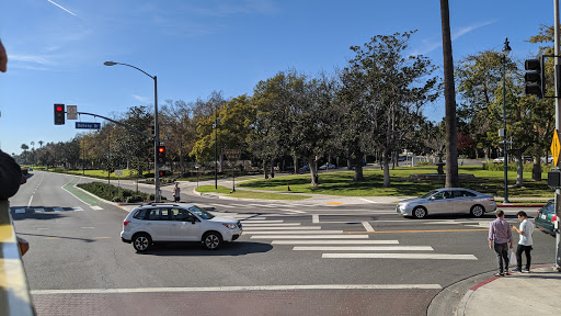 Pet Supply Store «Petco Animal Supplies», reviews and photos, 508 N Doheny Dr, West Hollywood, CA 90048, USA