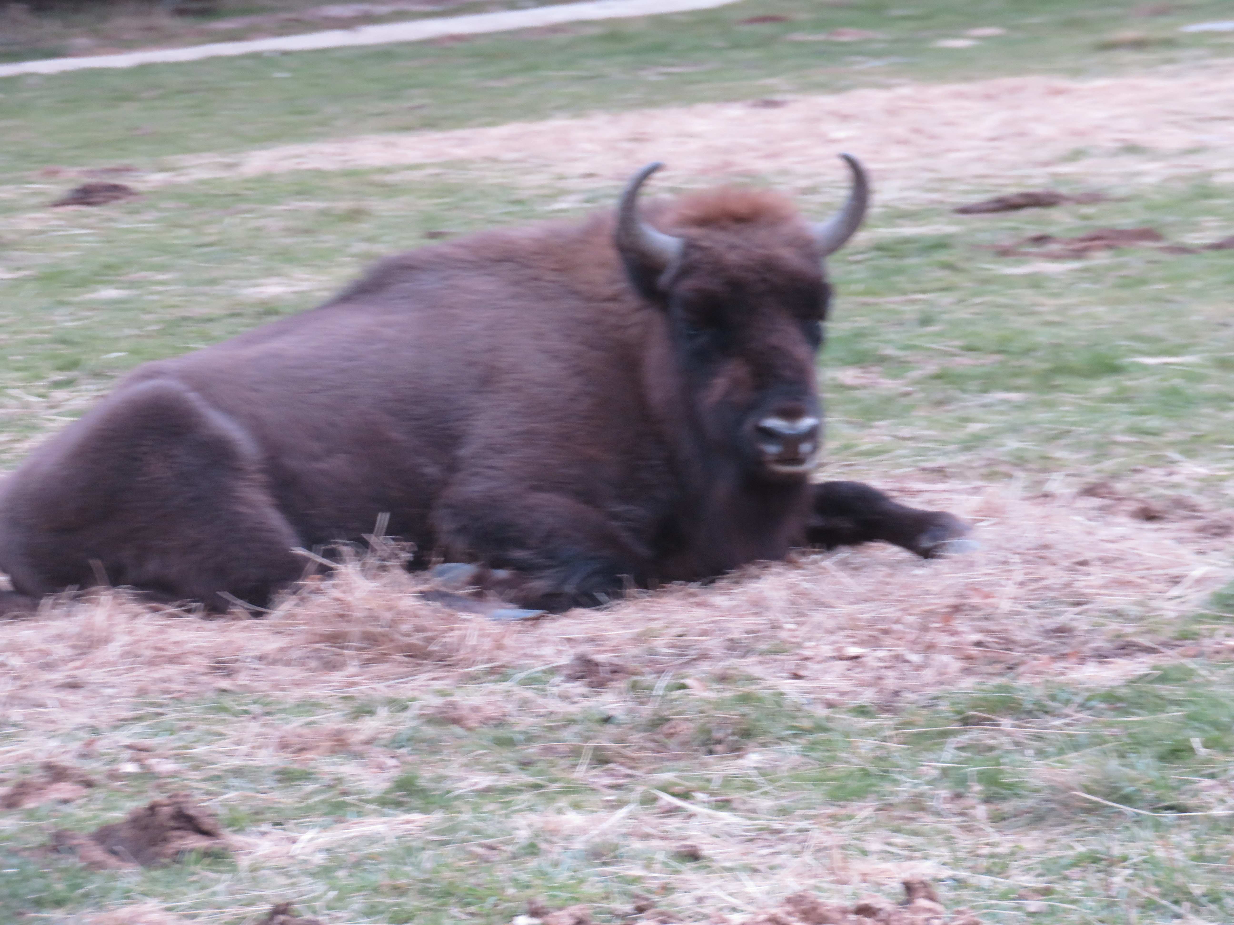 Photo n° 2 de l'avis de Sophie.o fait le 13/11/2022 à 16:59