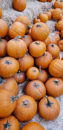 Discount Store «Walmart», reviews and photos, 22015 Hawthorne Blvd, Torrance, CA 90503, USA