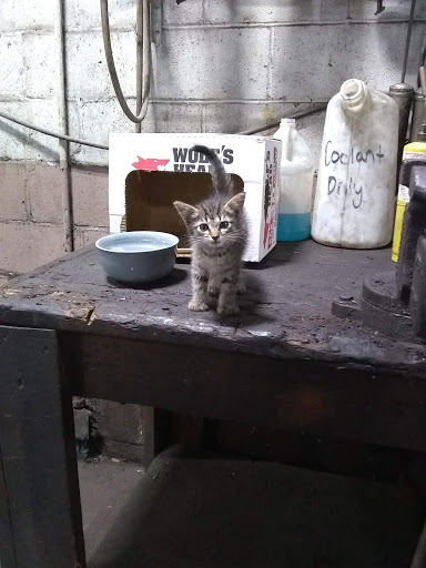 Auto Body Shop «Terrys North Coast Auto», reviews and photos, 3328 St Clair Ave NE, Cleveland, OH 44114, USA