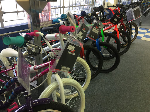 Bicycle Store «Champion Cycling Inc», reviews and photos, 11447 San Jose Blvd, Jacksonville, FL 32223, USA