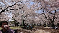 八幡公園