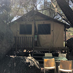 Photo n° 9 de l'avis de Little.o fait le 21/07/2023 à 05:27 pour Gallina Varja à Sotta