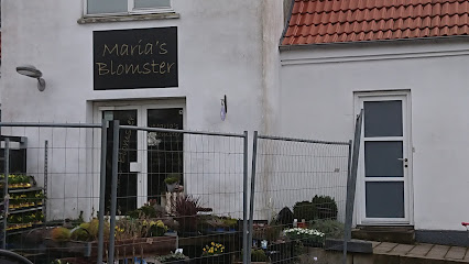Maria's Blomster