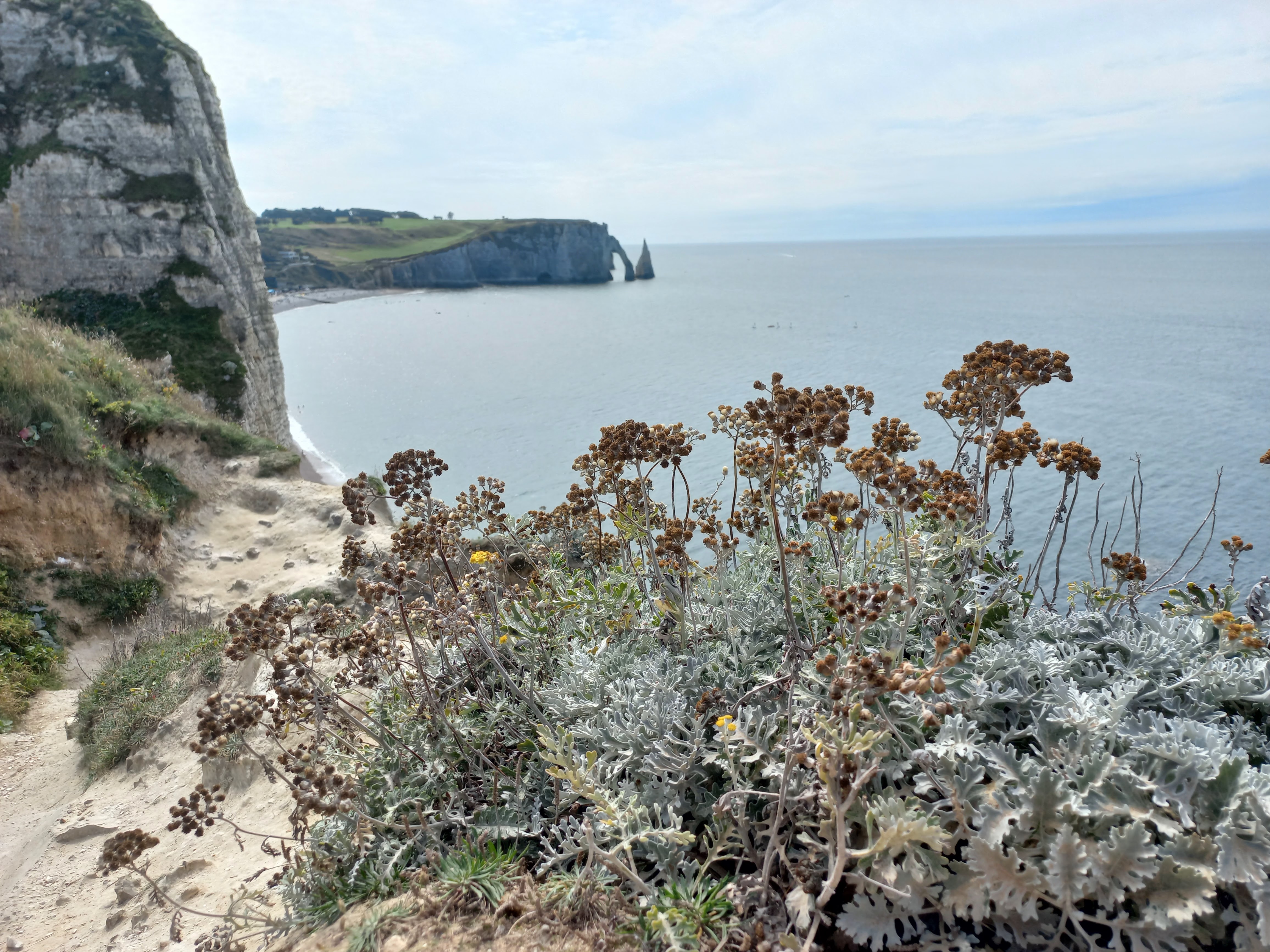 Photo n° 1 de l'avis de Arnaud.a fait le 22/08/2023 à 18:13