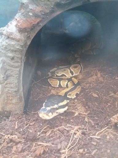 Pet Supply Store «Petco Animal Supplies», reviews and photos, 675 Deis Dr i, Fairfield, OH 45014, USA