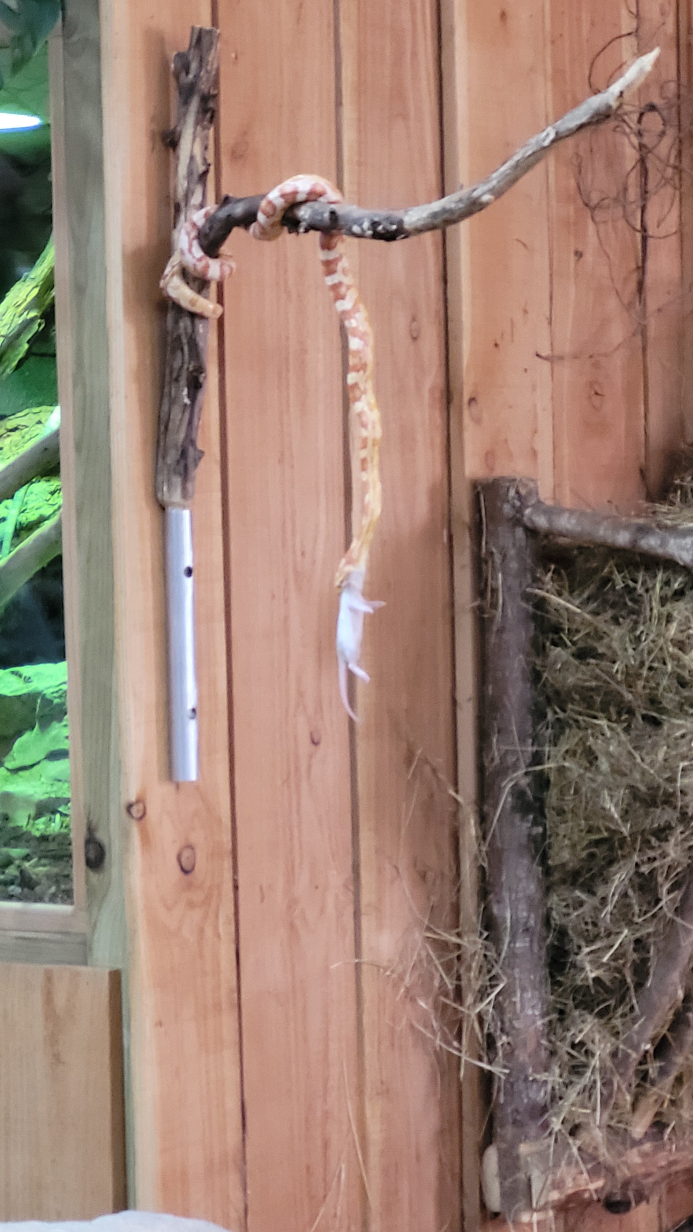 Photo n° 2 de l'avis de Guenaelle.l fait le 12/08/2022 à 06:36