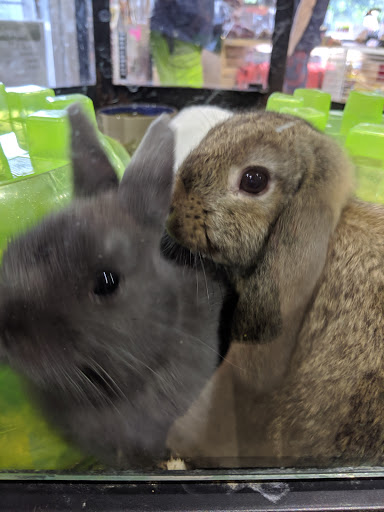 Pet Store «Pet Advantage», reviews and photos, 350 Dorset St # 1, South Burlington, VT 05403, USA