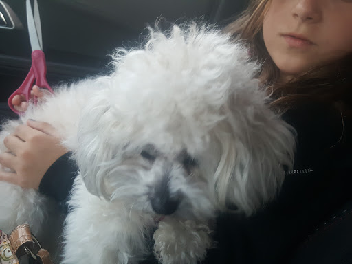 Pet Supply Store «Purely Pets», reviews and photos, 13723 23 Mile Rd, Shelby Charter Township, MI 48315, USA