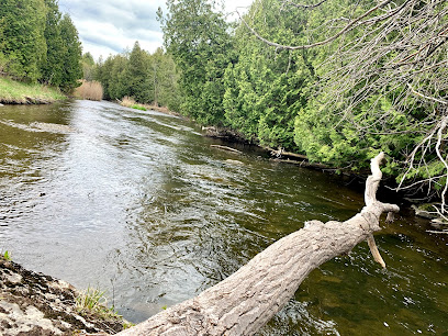 River bank solitude area