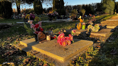 La Vallée Tranquille - Cimetière animalier à Prosnes