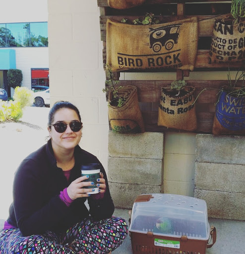 Coffee Store «Bird Rock Coffee Roasters», reviews and photos, 1270 Morena Blvd, San Diego, CA 92110, USA