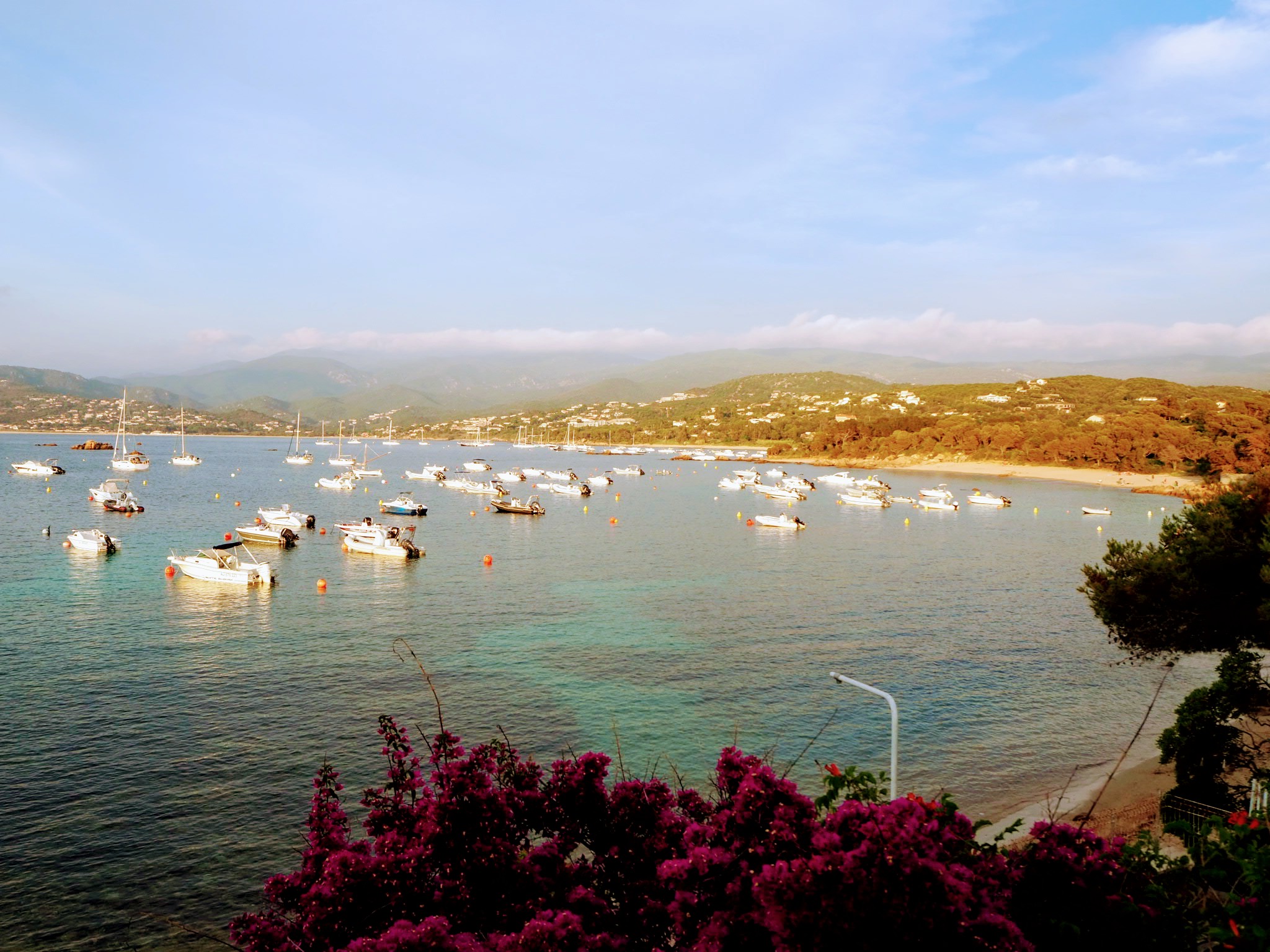 Photo n° 1 de l'avis de herve.o fait le 28/06/2019 à 06:17