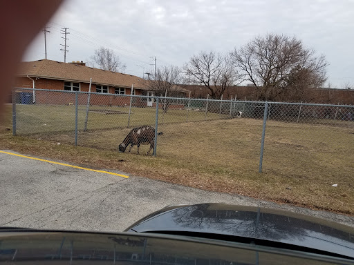 Pet Store «Animal Feeds & Needs», reviews and photos, 401 W Golf Rd, Arlington Heights, IL 60005, USA