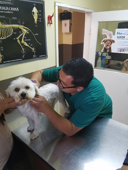 Veterinaria y Estética Canina Profesional Soler