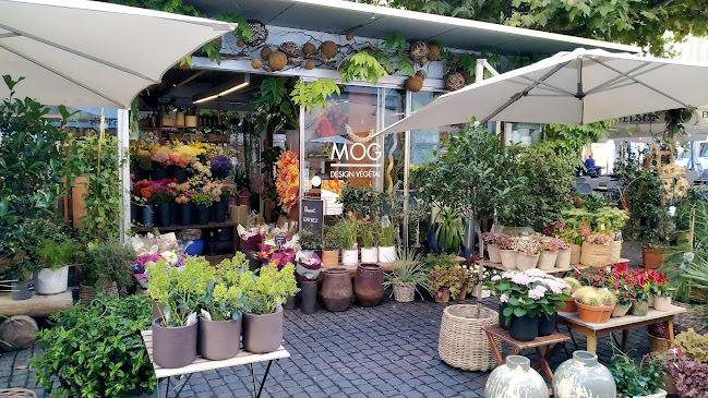 MOG Design Végétal - Genf