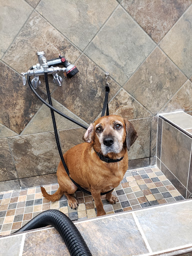 Pet Store «Pet Valu», reviews and photos, 378 Kelly Rd, Vernon, CT 06066, USA