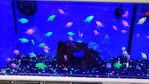 Pet Supply Store «Petco Animal Supplies», reviews and photos, 1719 York Rd, Lutherville, MD 21093, USA