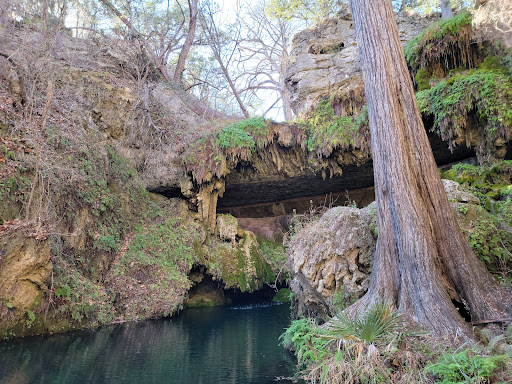 Non-Profit Organization «Westcave Outdoor Discovery Center», reviews and photos, 24814 Hamilton Pool Rd, Round Mountain, TX 78663, USA