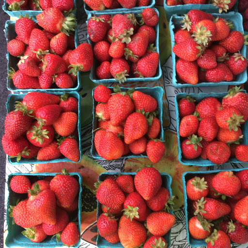 Tourist Attraction «Shoreline Farmers Market», reviews and photos, 15300 Westminster Way N, Shoreline, WA 98133, USA