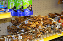 Care-A-Lot Pet Supply - Corporate Offices - Photo 6 - Car repair in Virginia Beach, VA, Virginia Beach