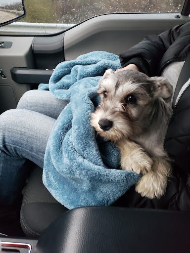 Pet Supply Store «Petco Animal Supplies», reviews and photos, 4950 S 76th St, Greenfield, WI 53220, USA