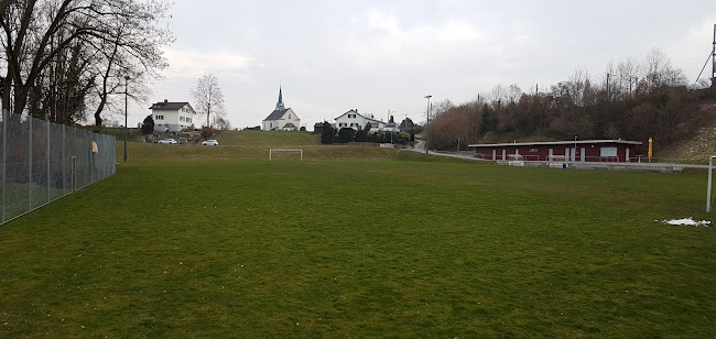 Fussballplatz Dammweg - St. Gallen