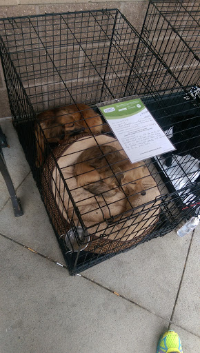 Pet Supply Store «PetSmart», reviews and photos, 5401 N Garland Ave, Garland, TX 75040, USA