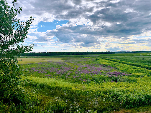 National Reserve «Montezuma National Wildlife Refuge», reviews and photos, 3395 US-20, Seneca Falls, NY 13148, USA