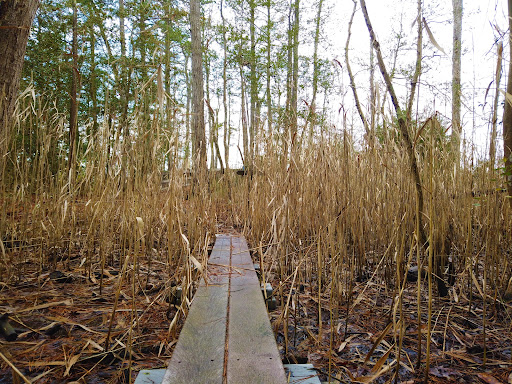 Nature Preserve «Eldora Nature Preserve», reviews and photos, 2350 NJ-47, Delmont, NJ 08314, USA