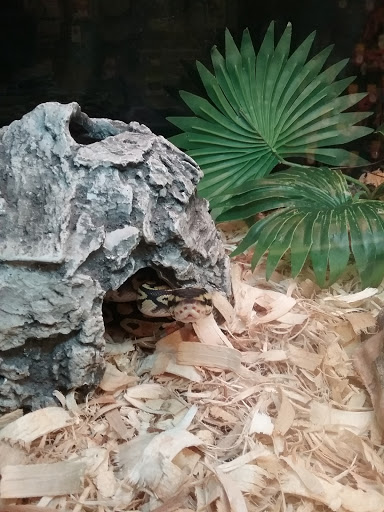 Pet Supply Store «PetSmart», reviews and photos, 11134 Parkside Dr, Knoxville, TN 37934, USA