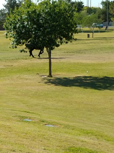 Recreation Center «Kiwanis Recreation Center», reviews and photos, 6111 S All America Way, Tempe, AZ 85283, USA