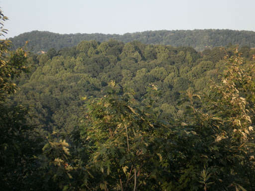 Grocery Store «Food Lion», reviews and photos, 577 N Madison Rd #15, Orange, VA 22960, USA