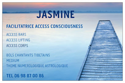 logo JASMINEBULLY