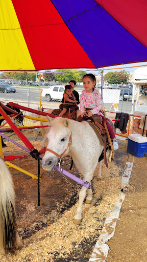 Fast Food Restaurant «Sonic Drive-In», reviews and photos, 3489 W Shaw Ave, Fresno, CA 93722, USA