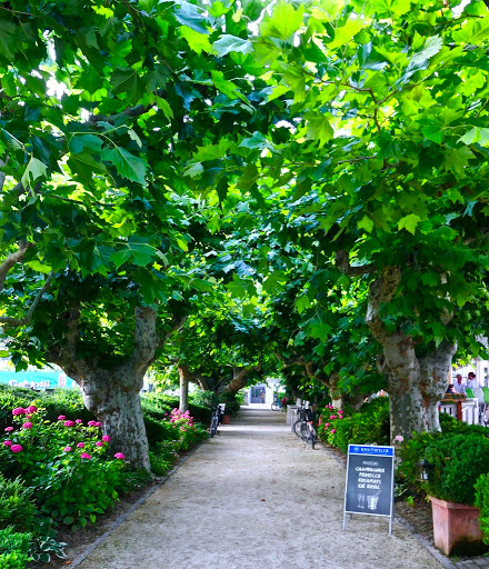 Travel Agency «Gate 1 Travel», reviews and photos