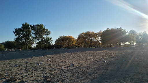 Community Center «Curley Community Center», reviews and photos, 1663 Columbia Rd, Boston, MA 02127, USA