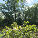 Photo n° 34 de l'avis de Chloe. fait le 08/06/2022 à 18:51 pour Le Jardin d'Eau à Giverny