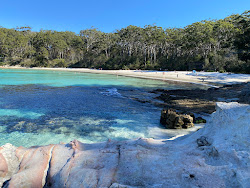 Blenheim Beach'in fotoğrafı imkanlar alanı